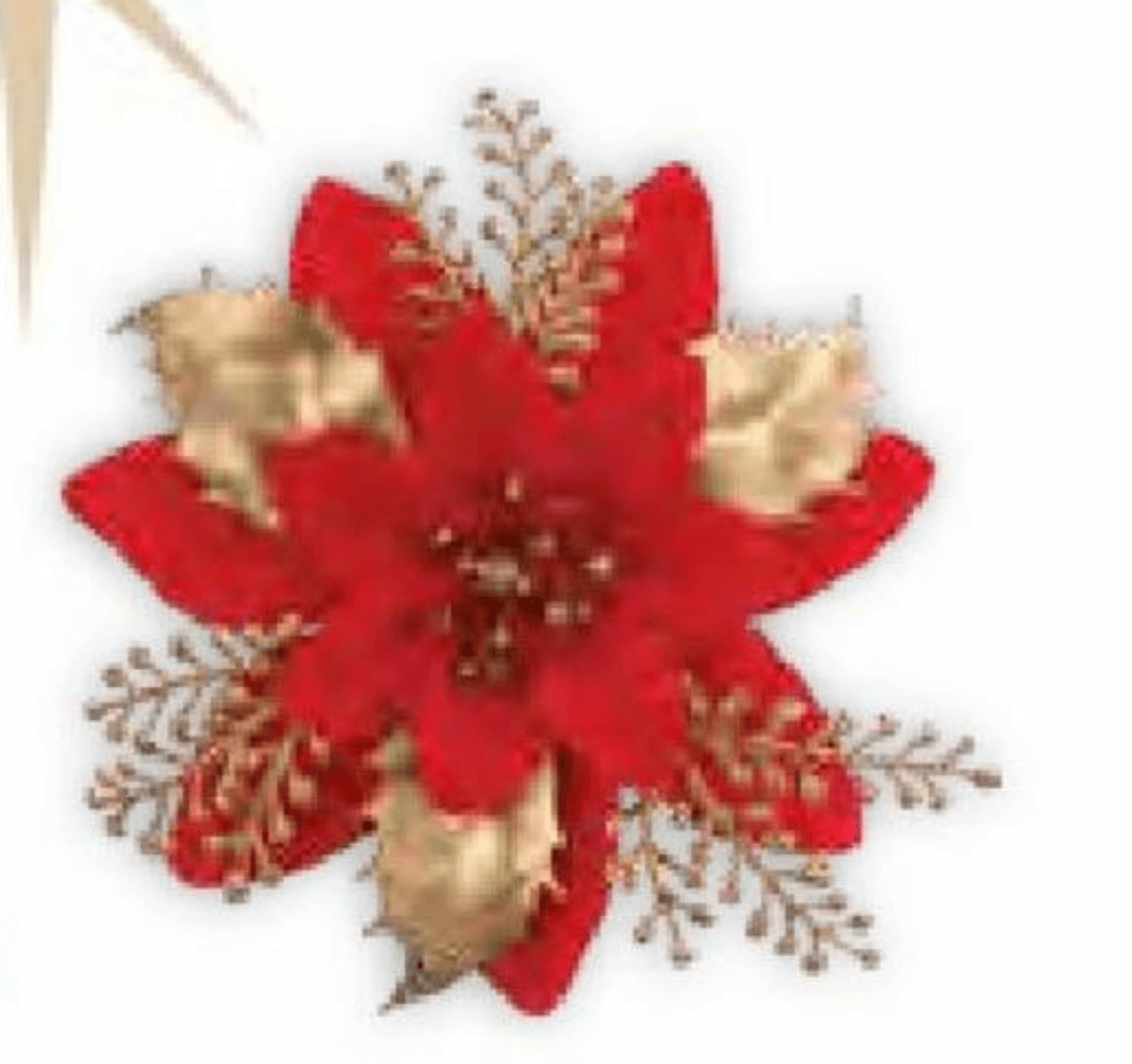 Božična zvezda 3/1