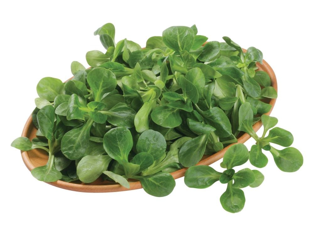 Motovilec 125 g - Akcija v trgovini Hofer