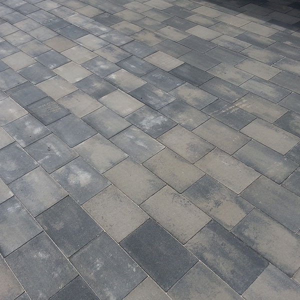 Tlakovec PIRAN VELIKI