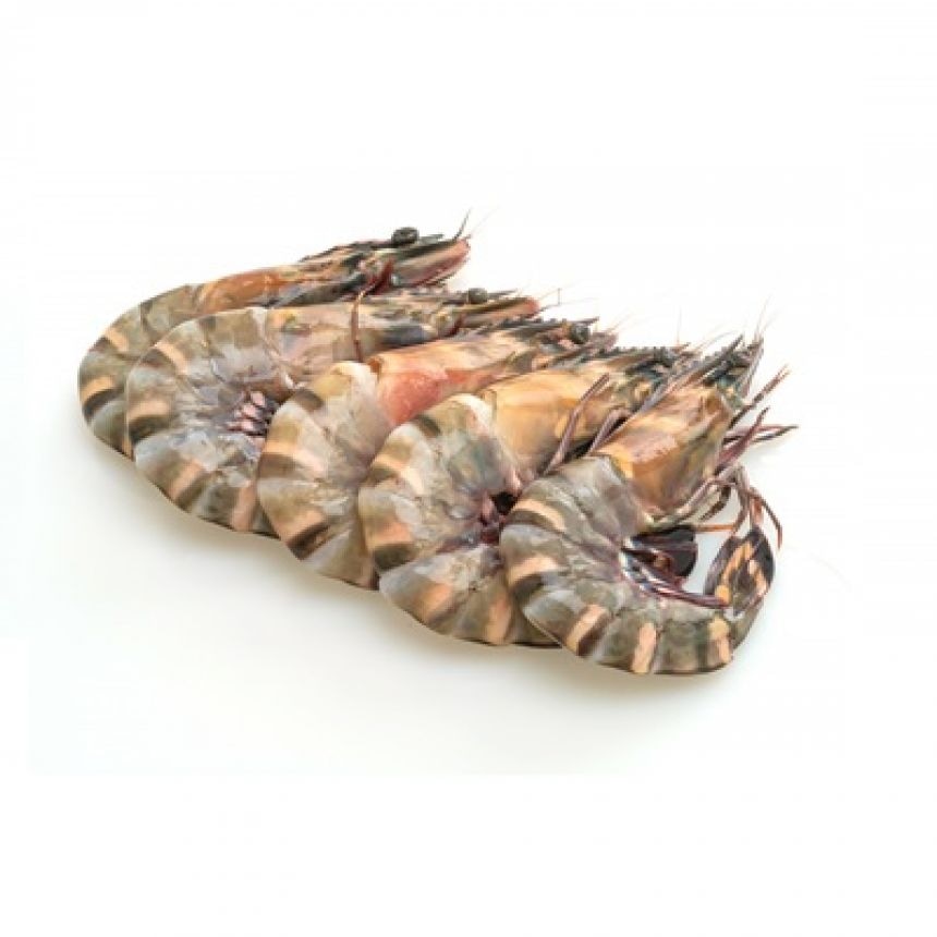 Tigraste kozice 250 g