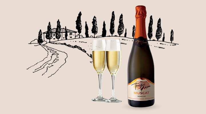 Peneče vino, muškat Terra Vinea 0,75 l