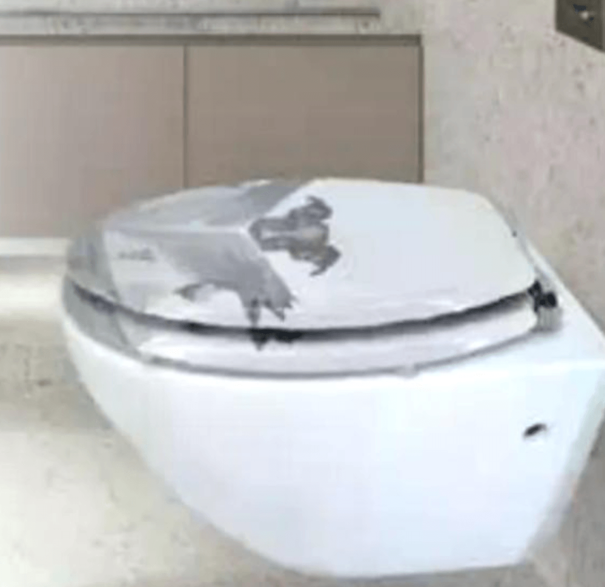 WC-deske - Akcija v trgovini Pevex