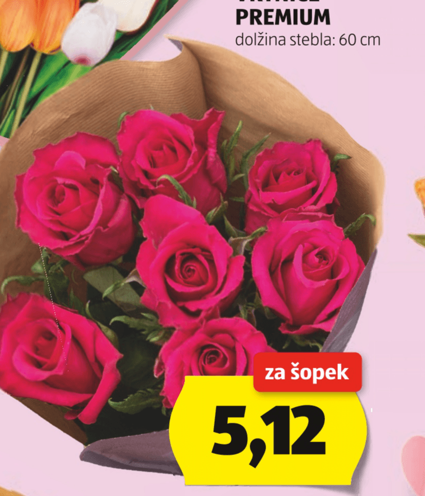 Vrtnice Premium - Akcija v trgovini Hofer