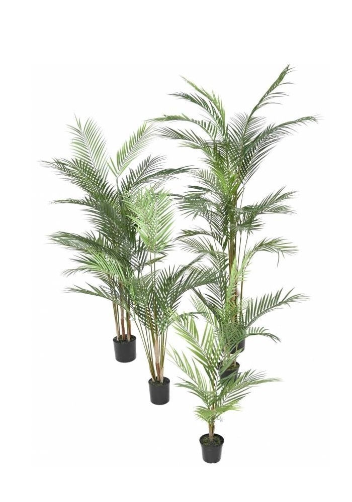 Umetna rastlina - ARECA PALM 100 cm, v. 150 cm - Akcija v trgovini Lesnina