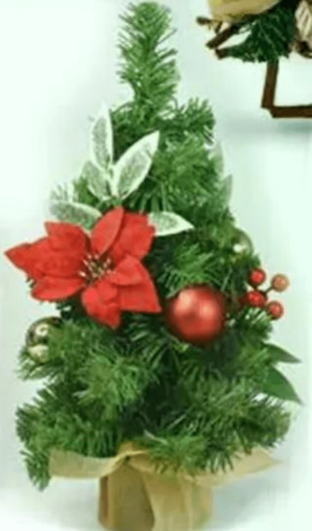 Novoletna smreka 40 cm