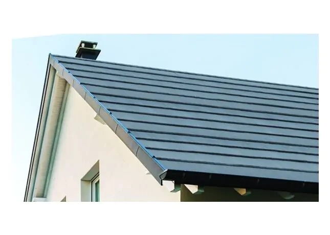 Strešnik Nexe Valens