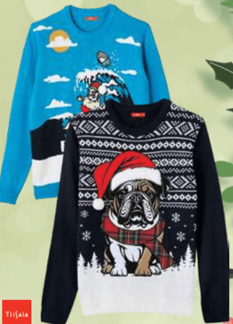 TISSAIA Moški pulover TISSAIA