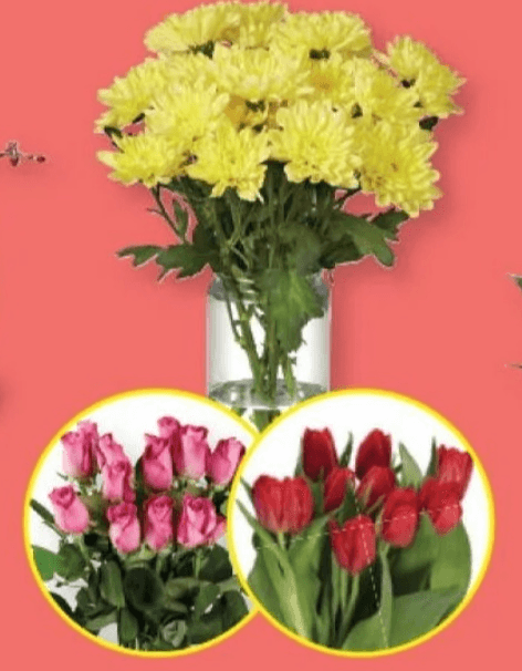 Šopek krizantem/vrtnic/tulipanov - Akcija v trgovini Lidl