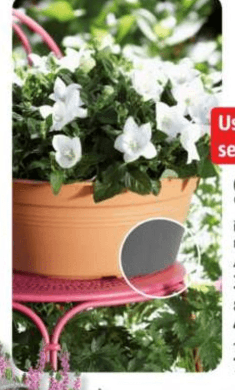 Cvetlični lonec 'Green basic' 8 l
