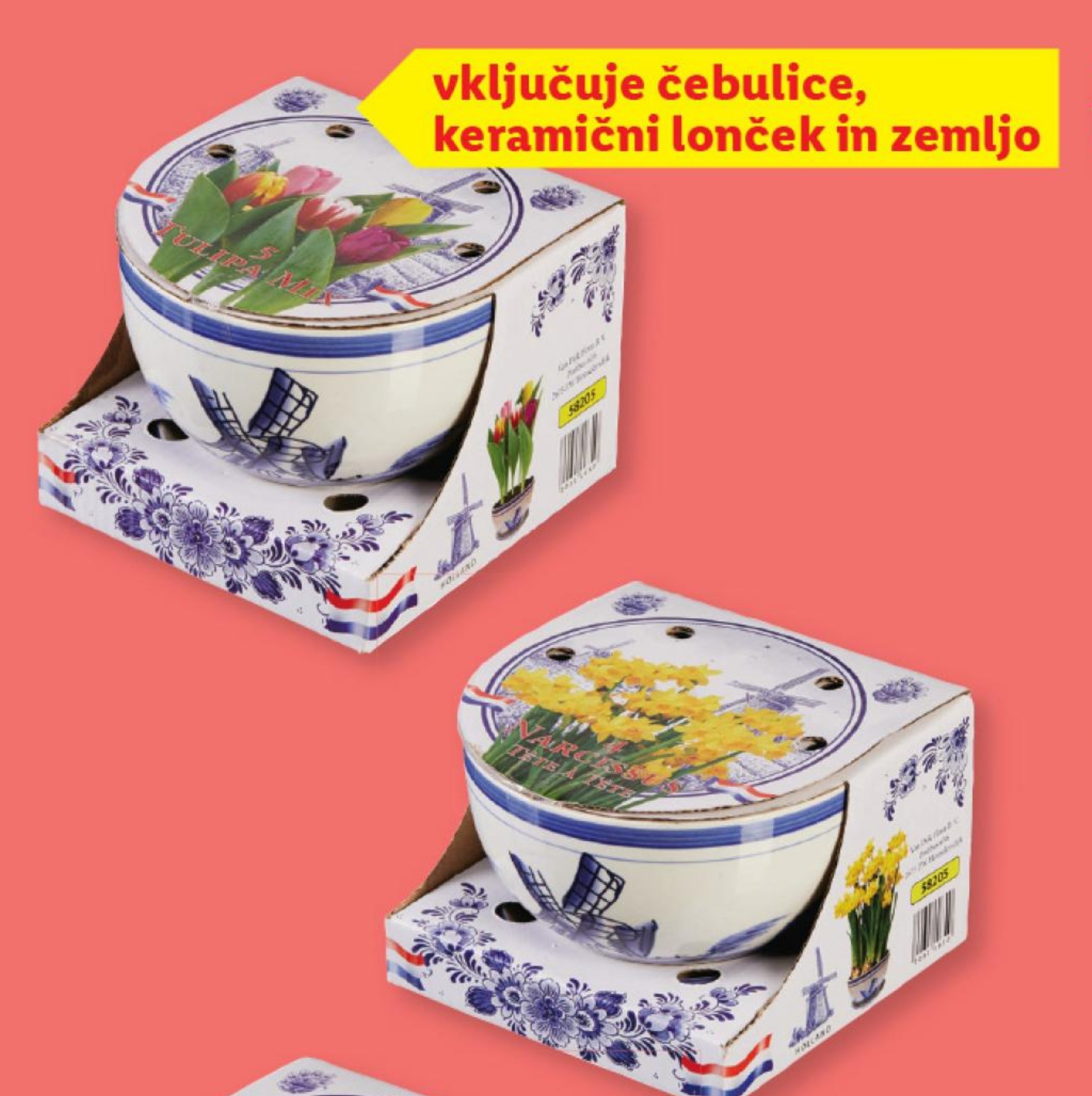 Cvetlične čebulice