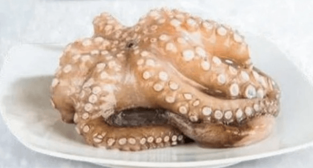 Hobotnica, očiščena 1 kg - Akcija v trgovini Eurospin