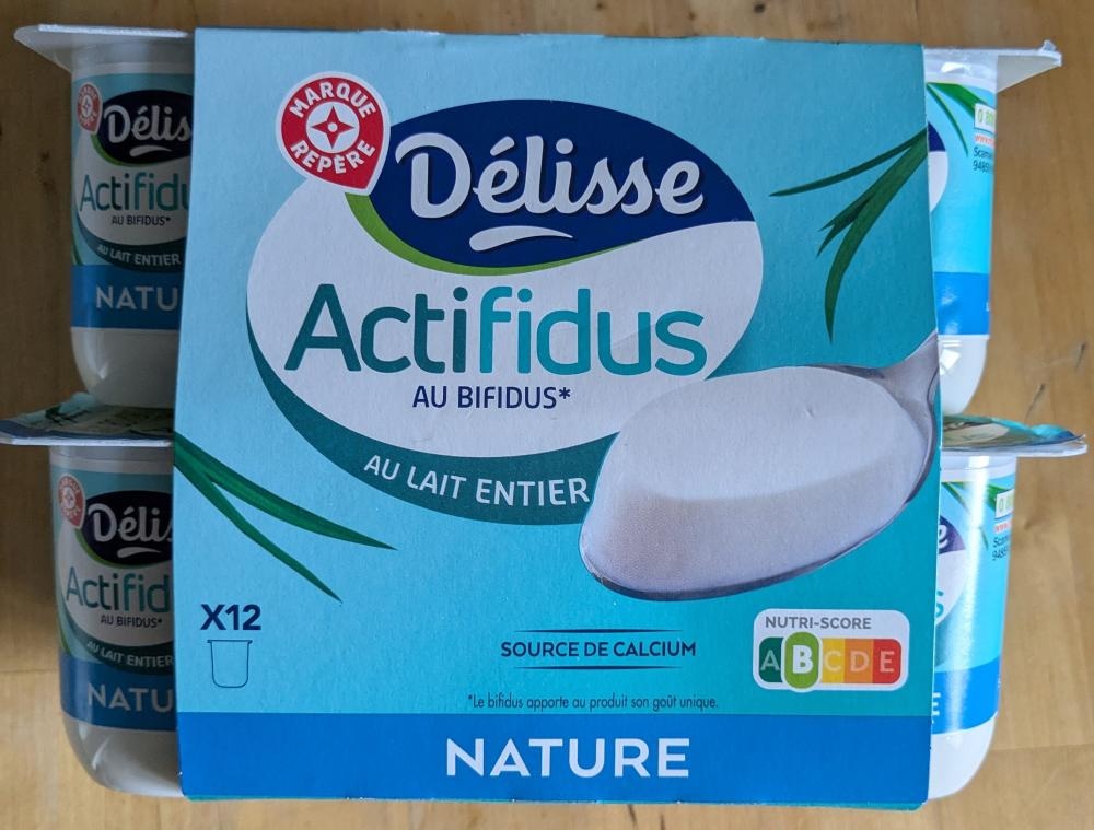 Jogurt Actifidus Délisse 2 kg