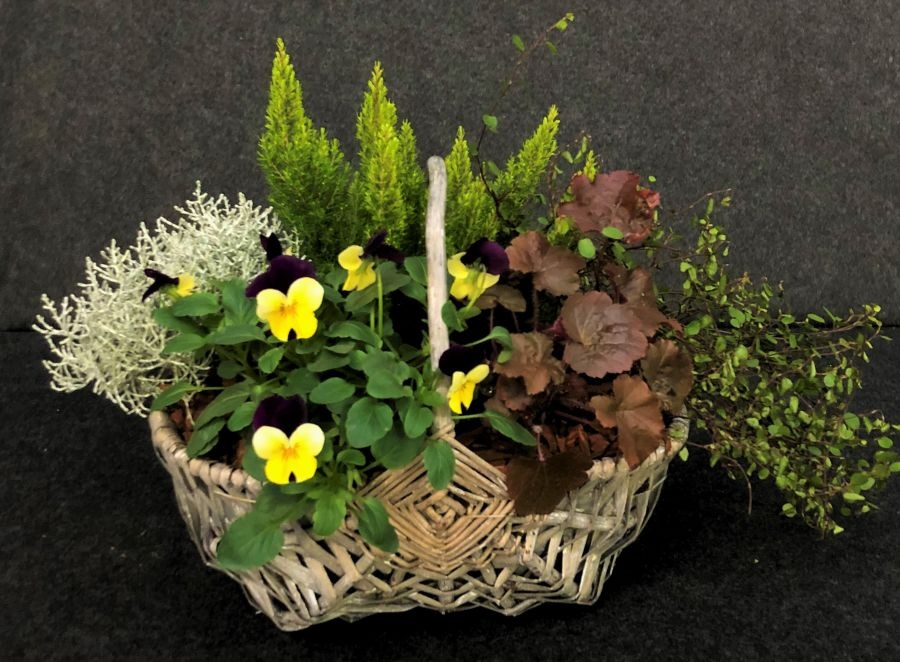 Jesenski nasad Ø 40 cm