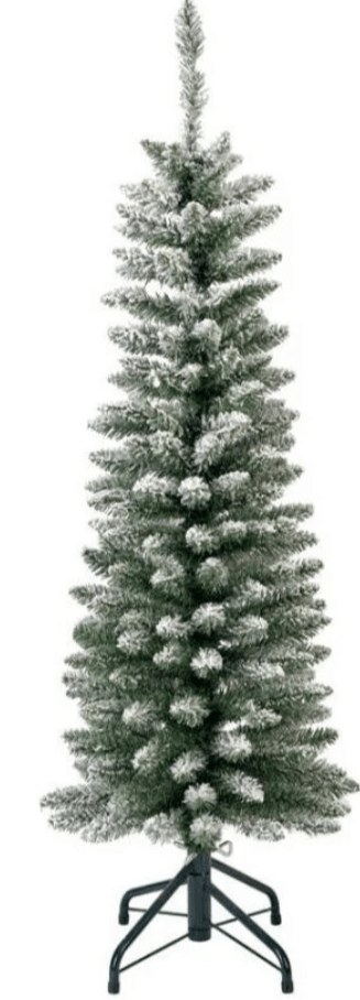 Jelka Pencil Pine 120 cm
