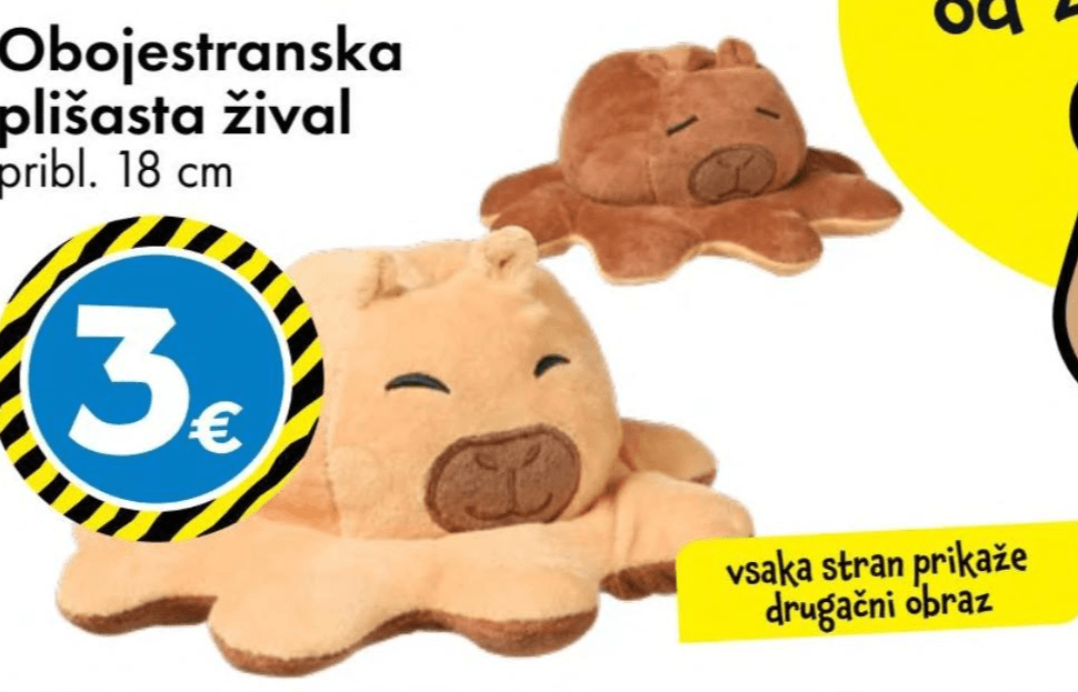 Obojestranska plišasta žival