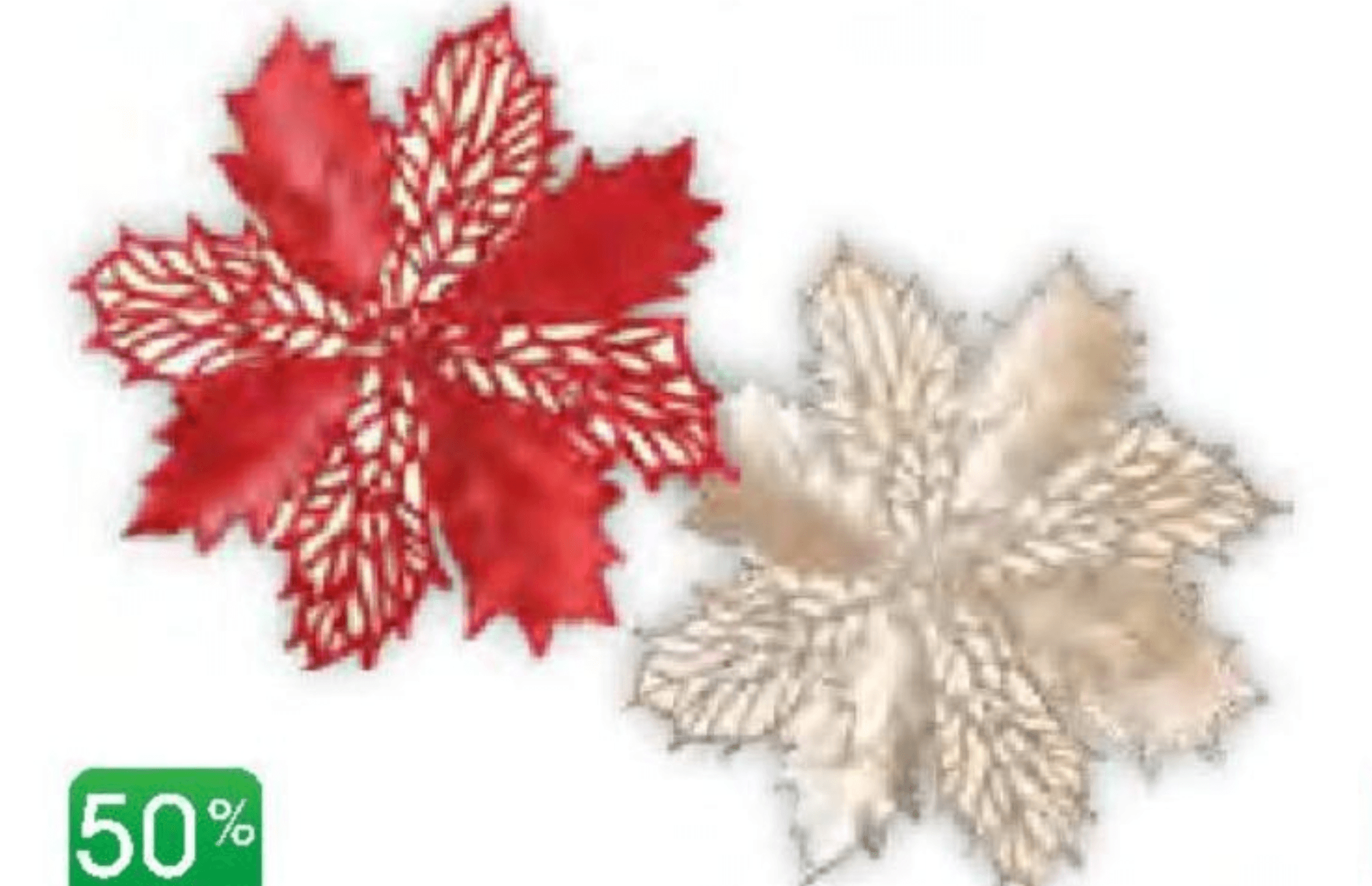 Vivi Pogrinjek roža