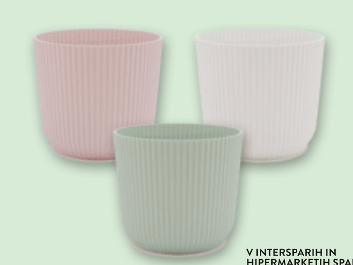 Lončki za rastline - Akcija v trgovini Spar