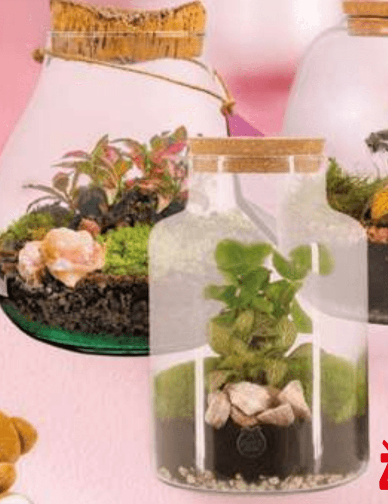 Terarij - Akcija v trgovini E.Leclerc