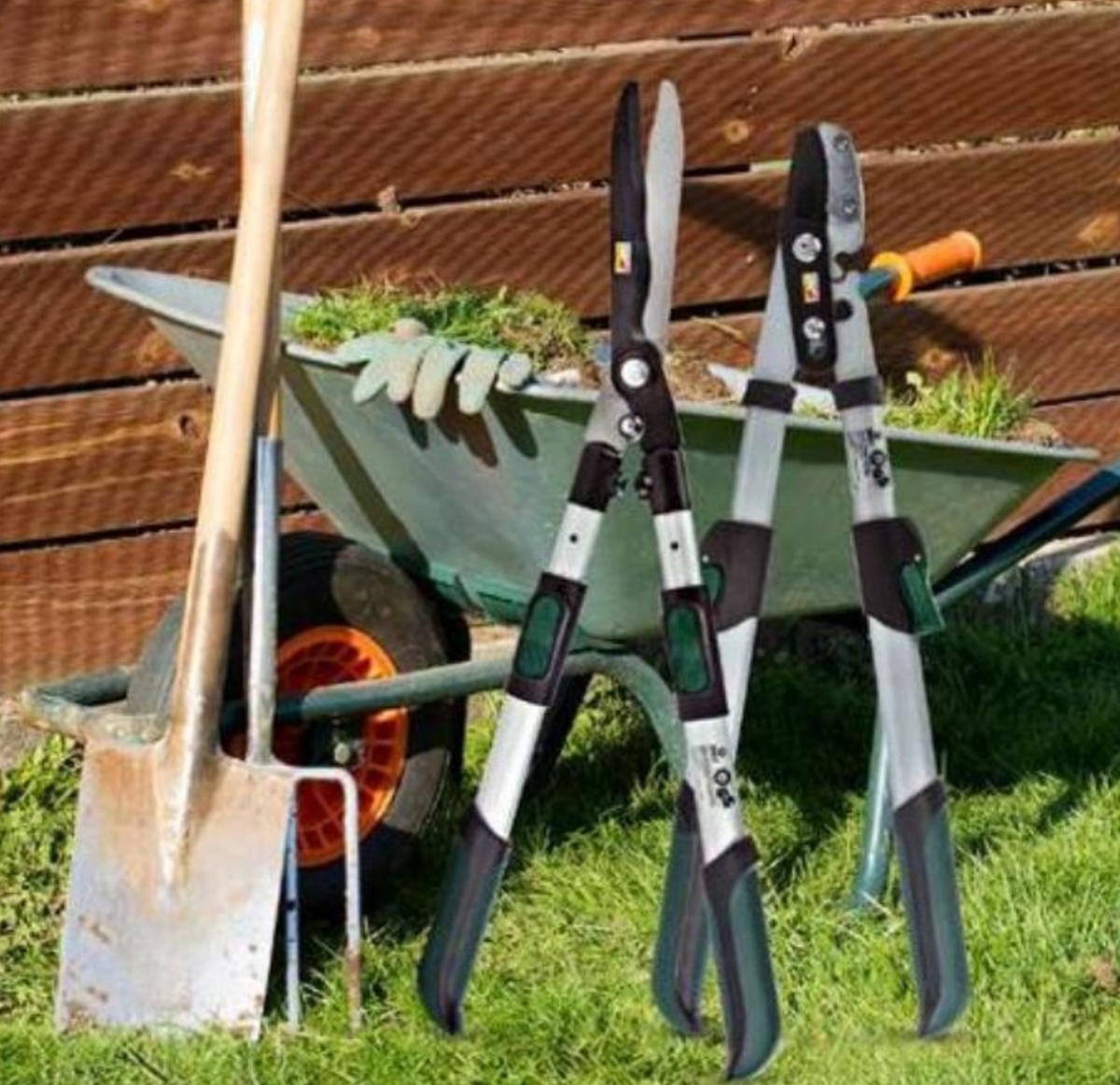 Škarje za obrezovanje/za živo mejo - Akcija v trgovini Eurospin