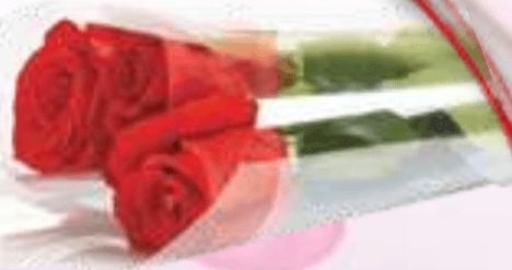 Sveža vrtnica - Akcija v trgovini E.Leclerc