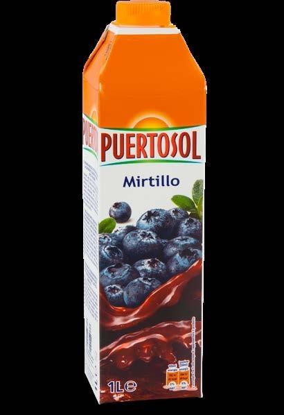 Pijača borovnica Puertosol 1 l