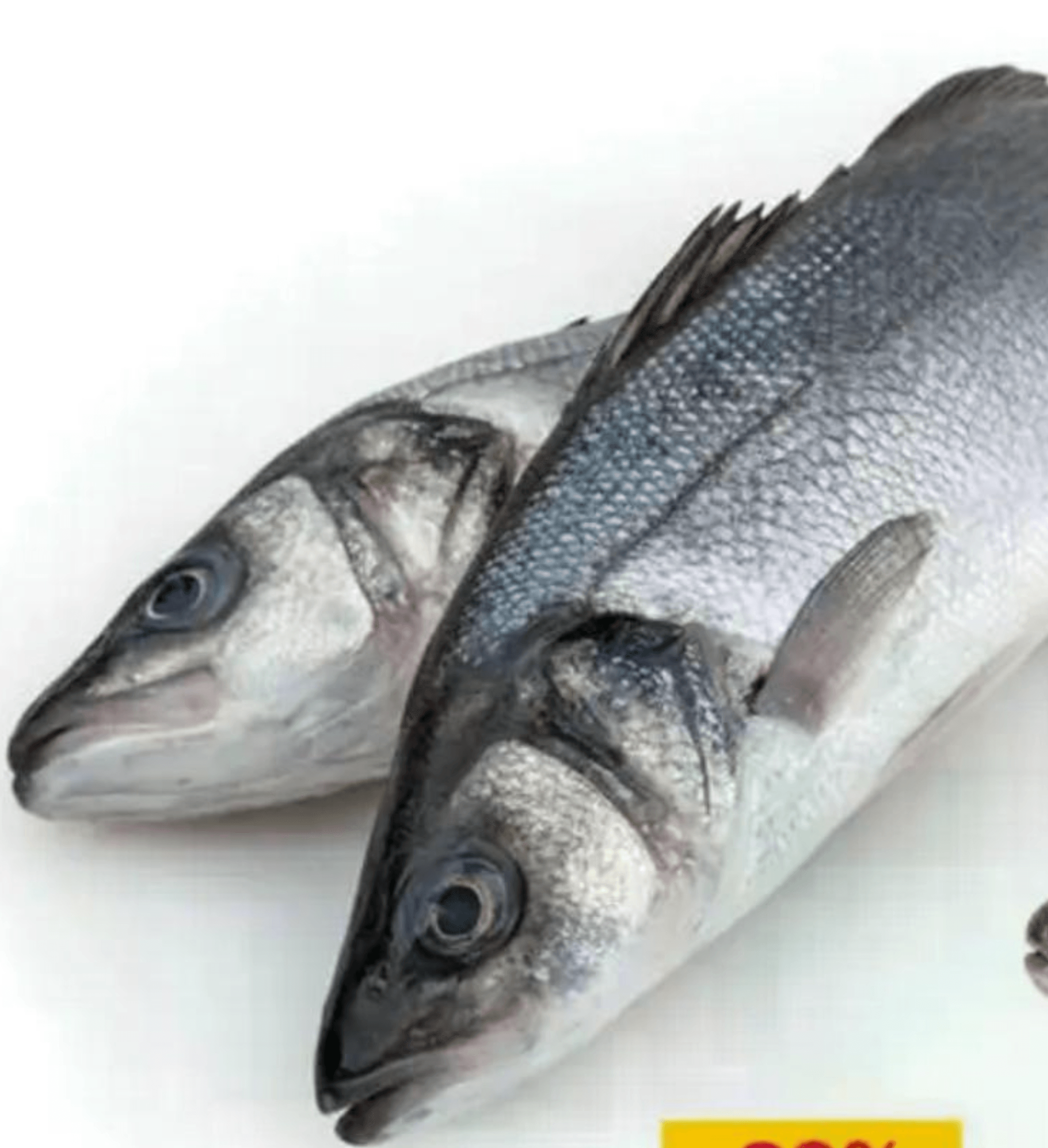 Kornatski brancin 600 do 800 g