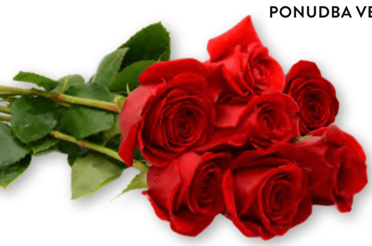 Šopek vrtnic 7 cvetov - Akcija v trgovini Spar