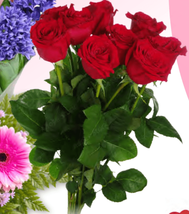 Šopek Vrtnic 7 cvetov - Akcija v trgovini Spar