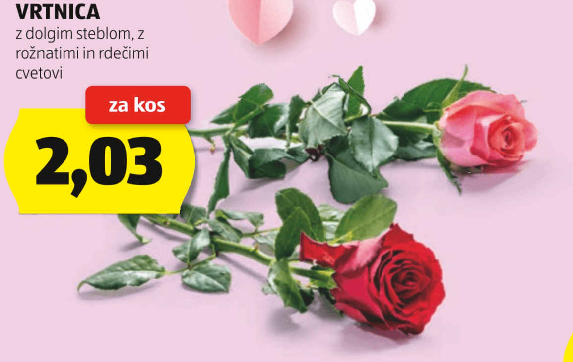 Vrtnica - Akcija v trgovini Hofer