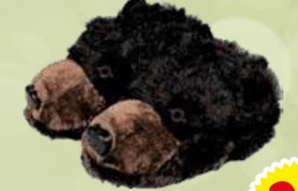 TISSAIA Moški Copati