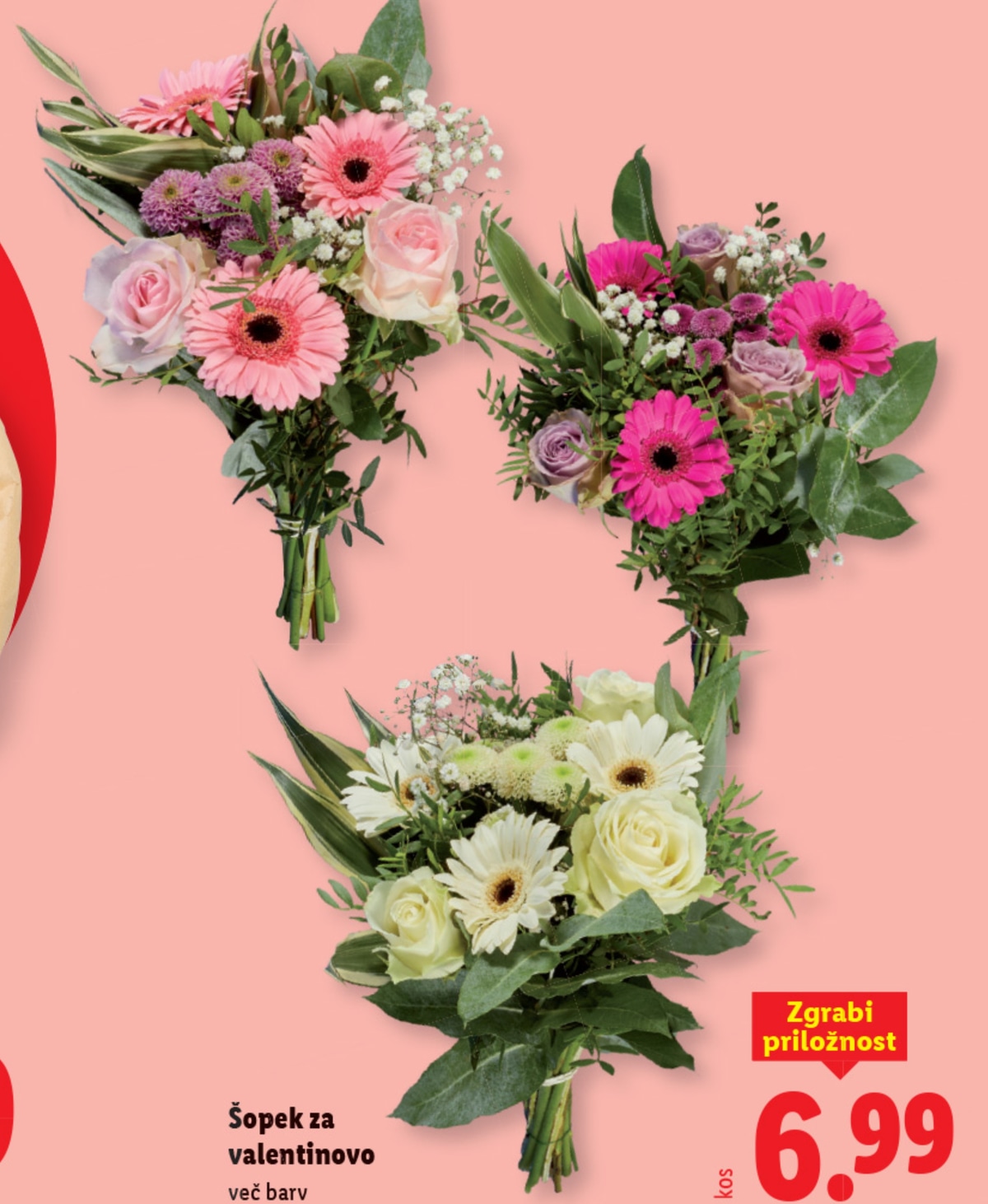 Šopek tulipanov „harlekin“ - Akcija v trgovini Lidl