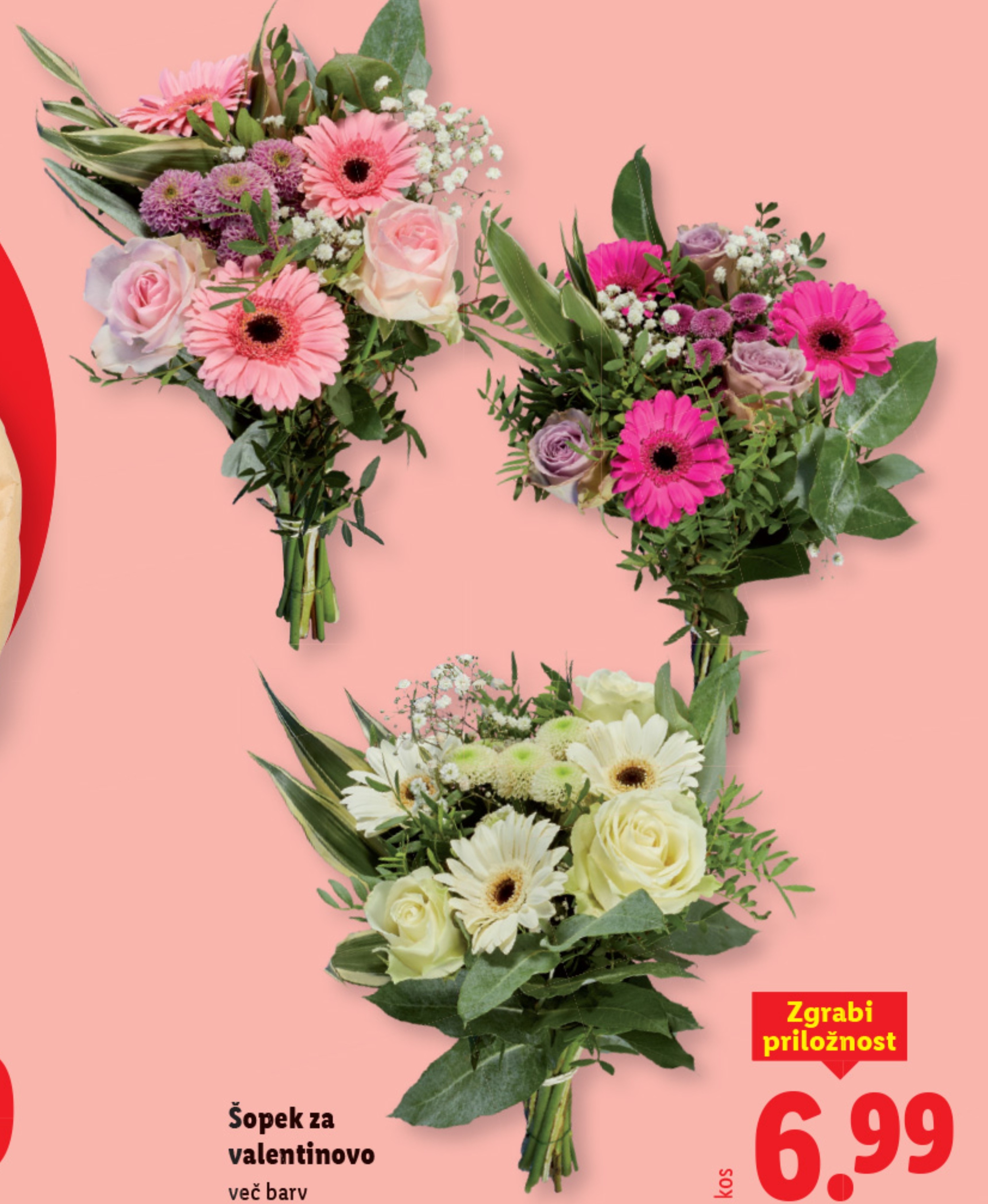 Šopek tulipanov „harlekin“ - Akcija v trgovini Lidl