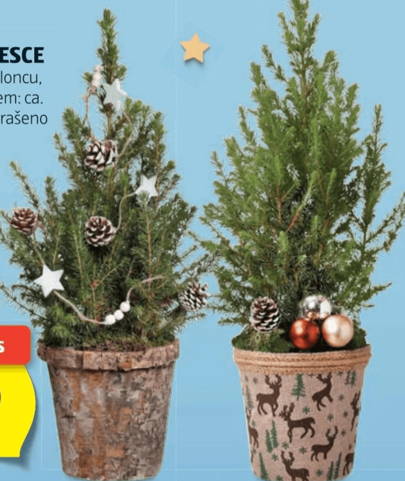 Okrašeno božično drevesce