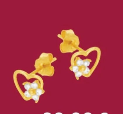 Uhani s cirkonijevimi oksidi - Akcija v trgovini E.Leclerc