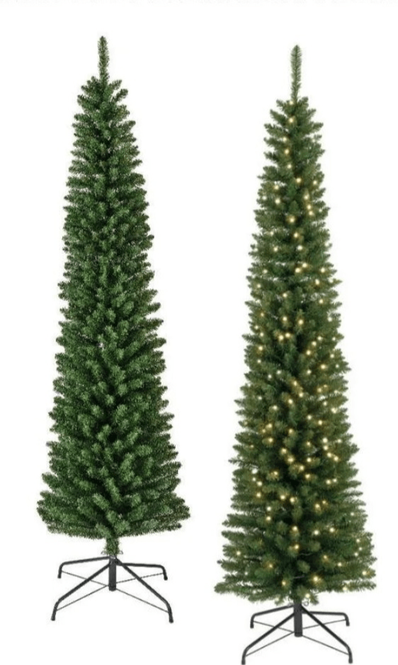 Jelka Pencil Pine 150 cm
