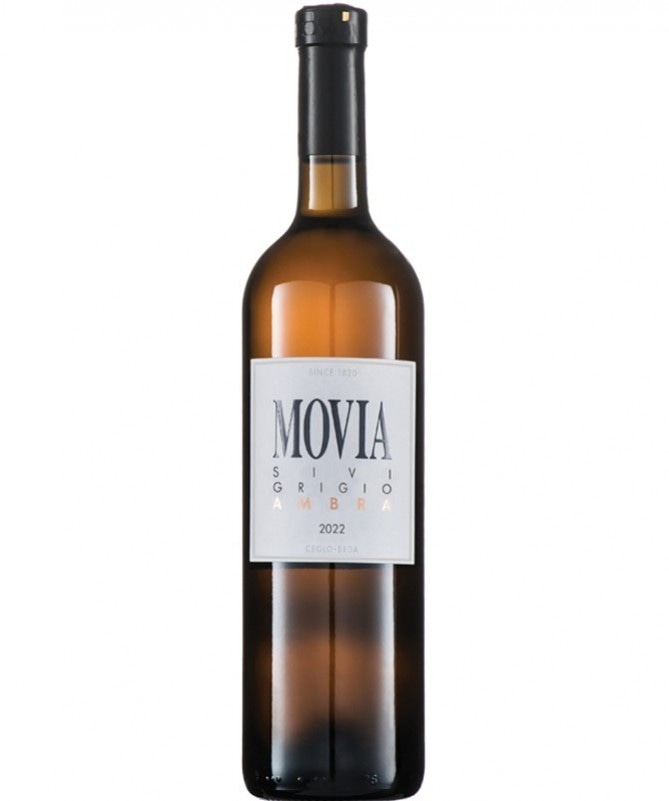 Kakovostno vino ZGP Sivi Pinot Ambra 0,75 l
