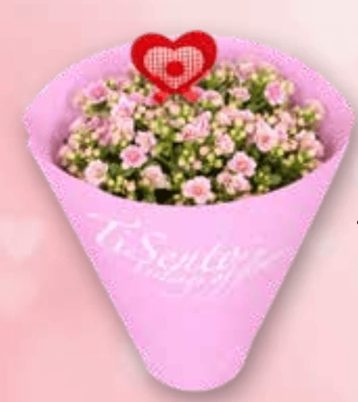 Kalanhoja - Akcija v trgovini Spar