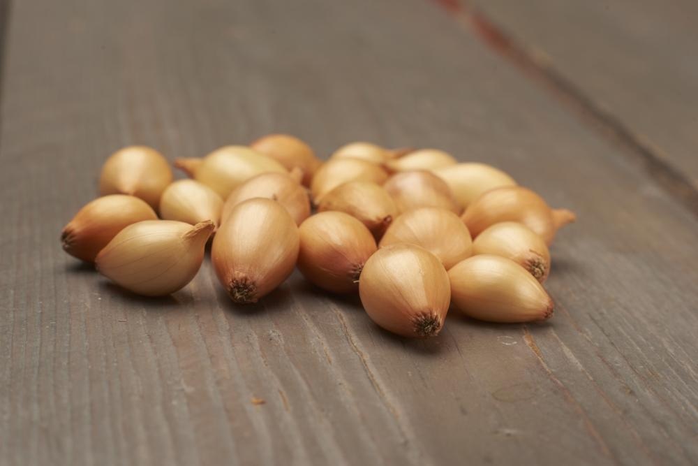 Čebulček Sturon 500 g