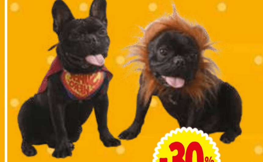 Kostum za psa Super Hero ali Lev - Akcija v trgovini E.Leclerc