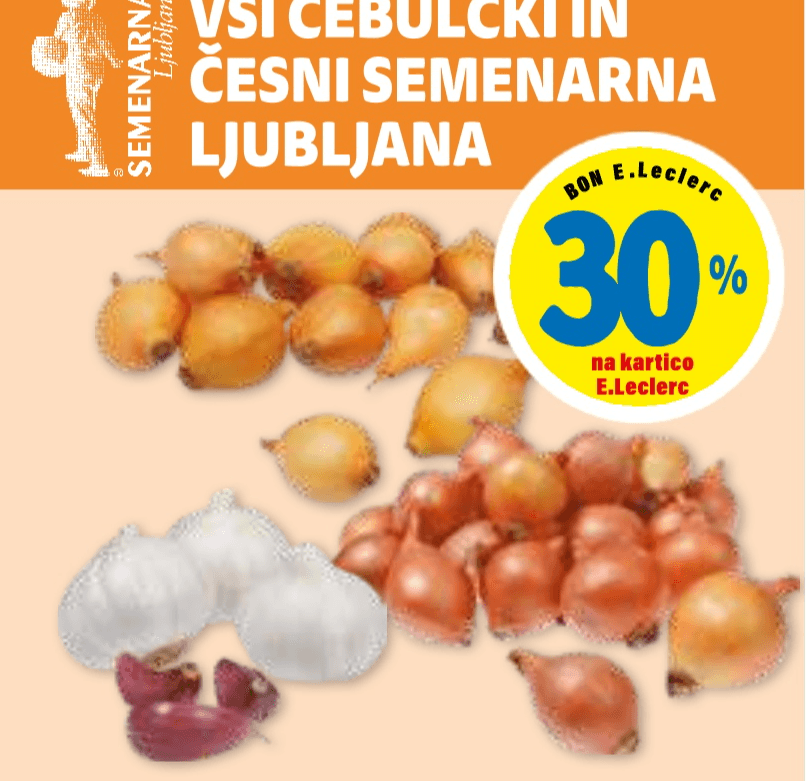 Semenarna Ljubljana Vsi čebulčki in česni