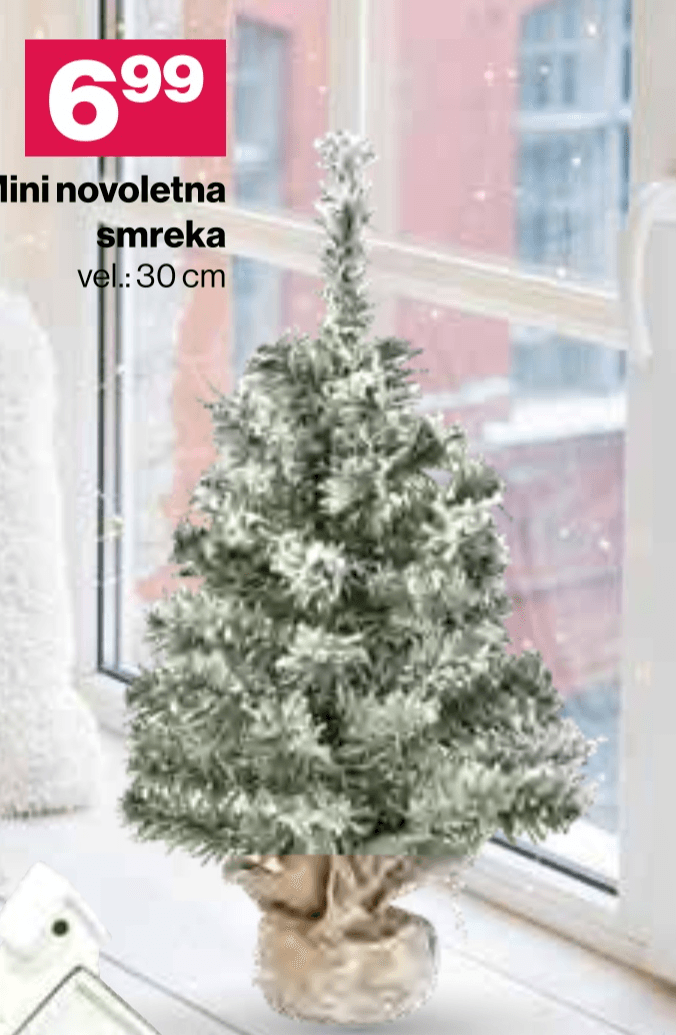 Mini novoletna smreka