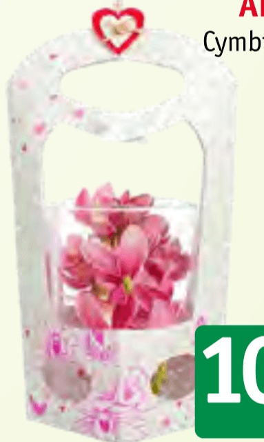 Valentinov aranžma - Akcija v trgovini Jager