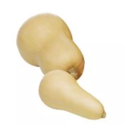 Slovenske jedilne buče 1 kg