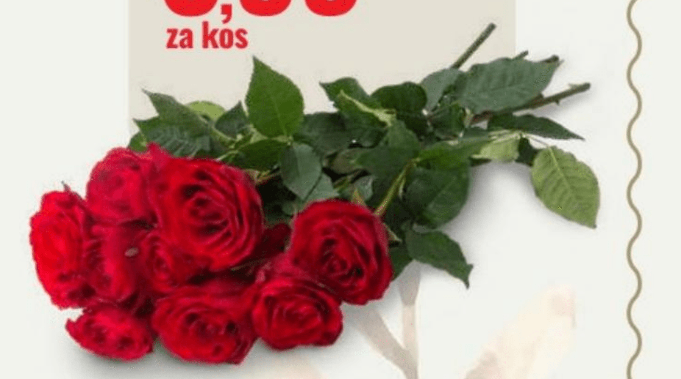 Šopek vrtnic