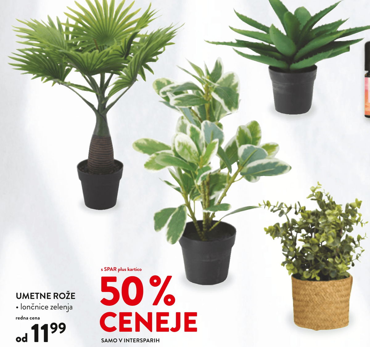 Umetne rože - Akcija v trgovini Spar