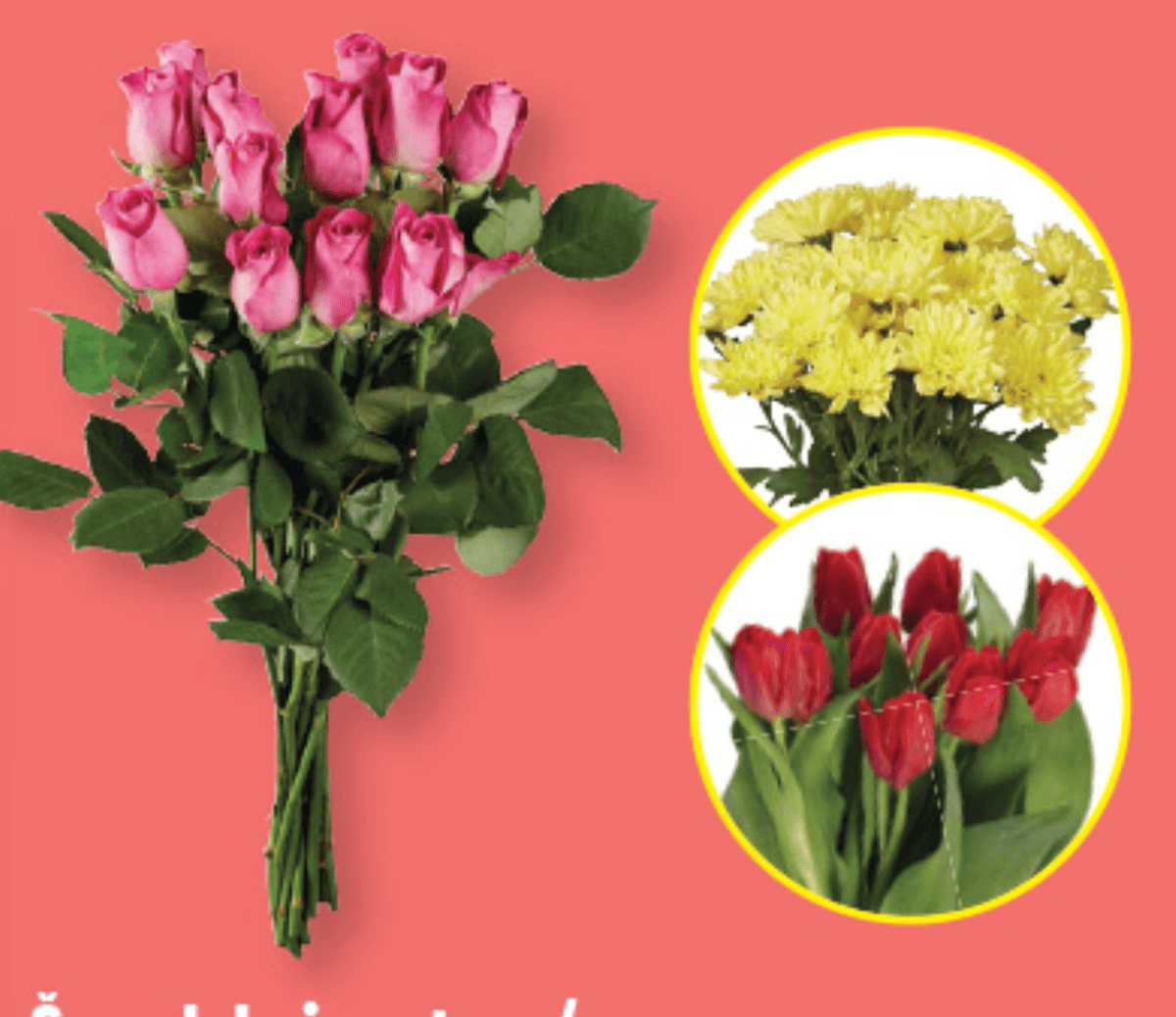 Šopek krizantem/vrtnic/tulipanovi - Akcija v trgovini Lidl