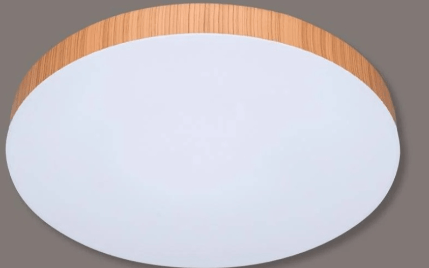 Stropna LED svetilka