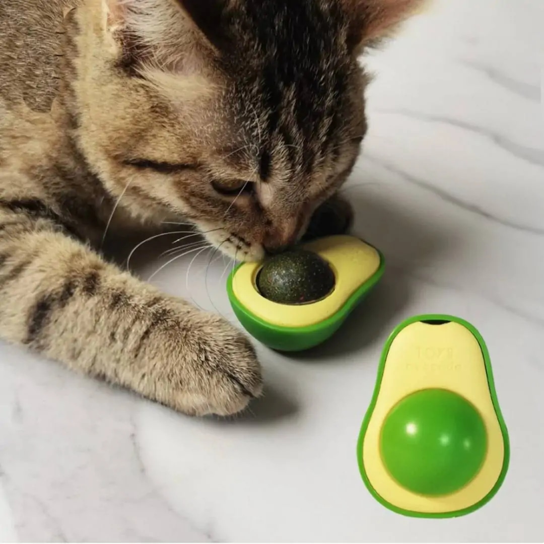 Mačja igrača Avocado