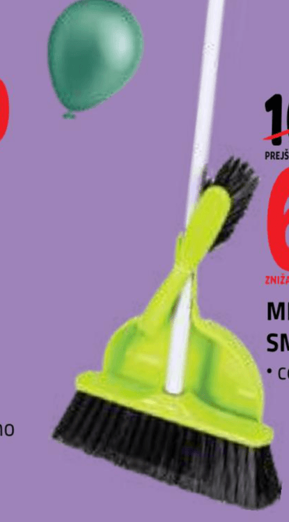 Metla in smetišnica