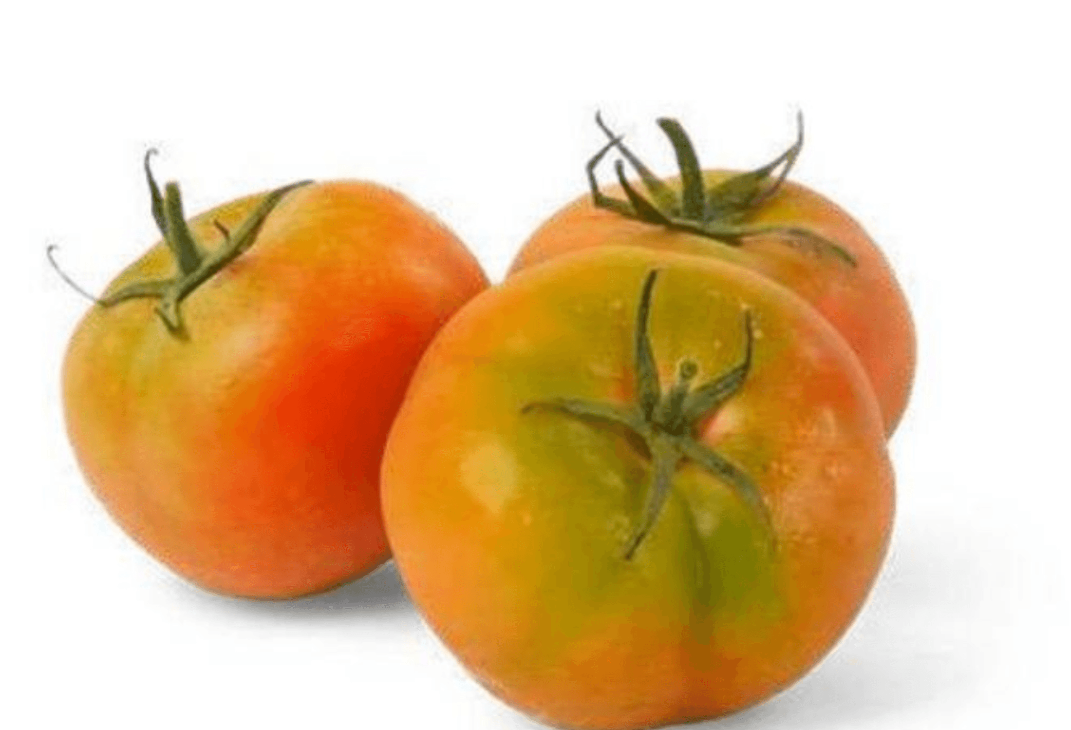 Solatni Paradižnik - Akcija v trgovini Eurospin